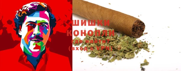 ГАЛЛЮЦИНОГЕННЫЕ ГРИБЫ Абаза